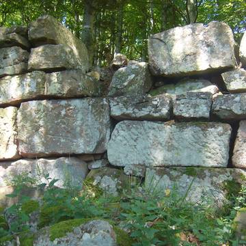 Enceinte protohistorique du Château du Frankenbourg